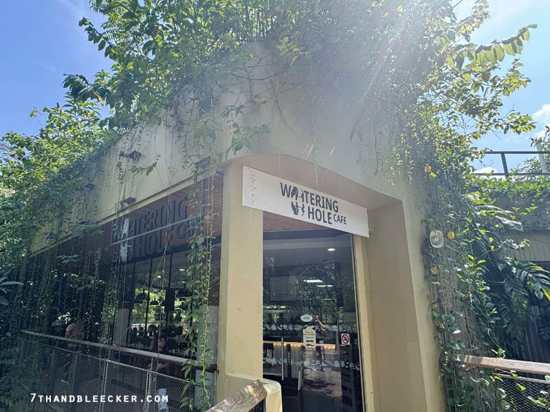 Watering Hole Café จุดนัดพบแห่งรสชาติและบรรยากาศอบอุ่น