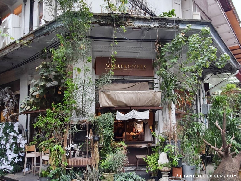 Wallflowers Cafe